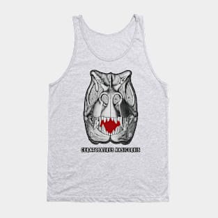 🦖 Fossil Skull of Ceratosaurus nasicornis Dinosaur Species Tank Top